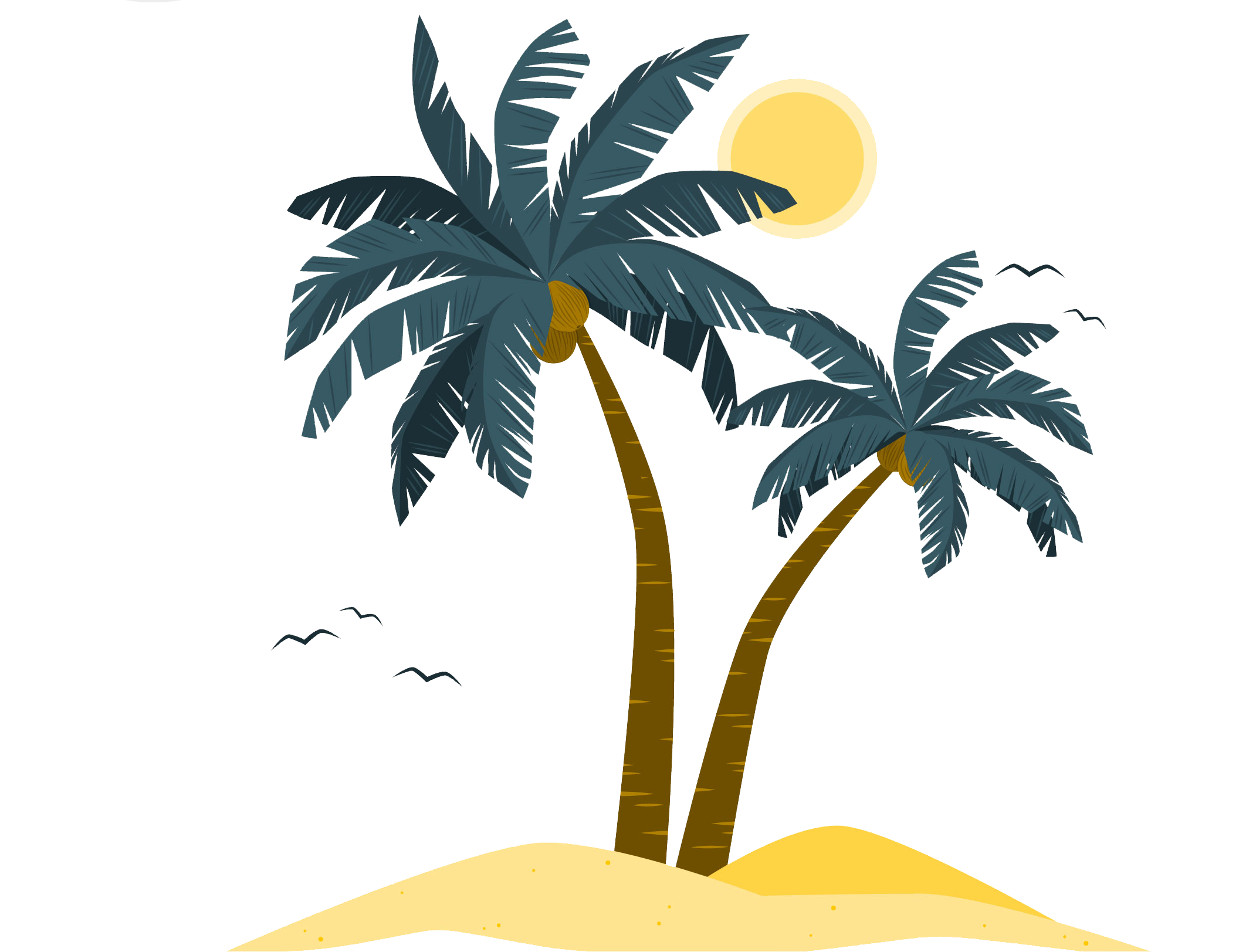 Palm Tree